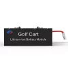 51.2V 100AH Golfcart LiFePO4 Battery