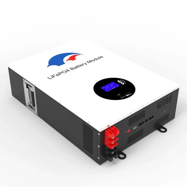 51.2V 100AH Wall Mount LiFePO4 Battery