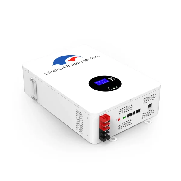 51.2V 100AH Wall Mount LiFePO4 Battery