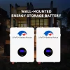 51.2V 100AH Wall Mount LiFePO4 Battery