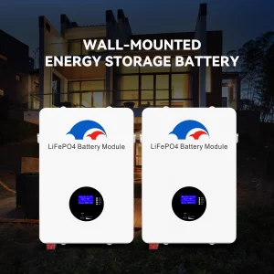 51.2V 100AH Wall Mount LiFePO4 Battery